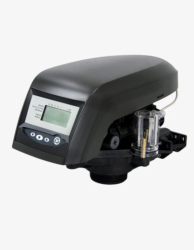 Pentair Autotrol 255 Logic Serisi 740 kontrol valfi ürün görünümü 1