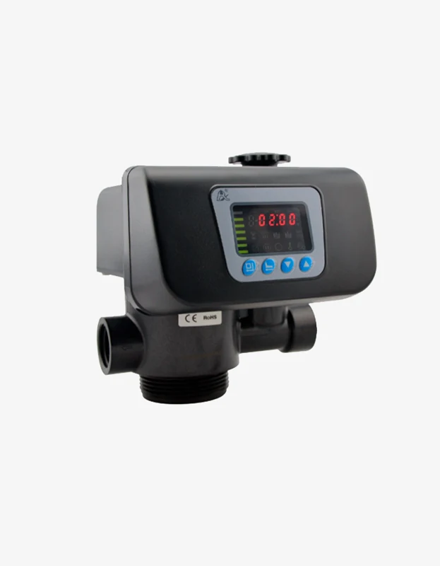 Runxin 53504S (F67B1) kontrol valfi – ürün görünümü 1